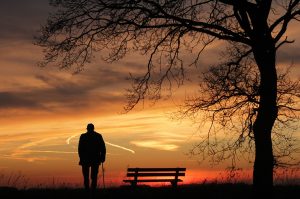 silhouette of man, bench, and bare tree